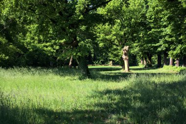 İtalya kırsalında güneşli bir günde parkın ortasındaki bir çayırda çıplak ve kesilmiş bir sandık.
