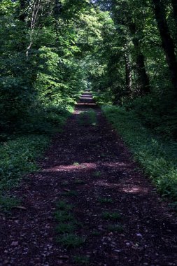 İtalya kırsalında güneşli bir günde üzerinde kavis olan bir parkta çakıl yolu.