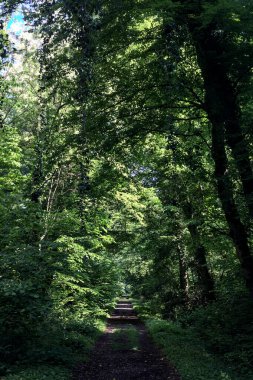 İtalya kırsalında güneşli bir günde üzerinde kavis olan bir parkta çakıl yolu.