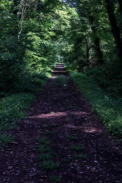 İtalya kırsalında güneşli bir günde üzerinde kavis olan bir parkta çakıl yolu.