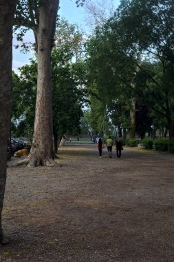 İnsanlar ve tasmalı bir köpek gün batımında parkta yürüyor.