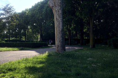 Gün batımında parkın gölgesinde kısmen patika