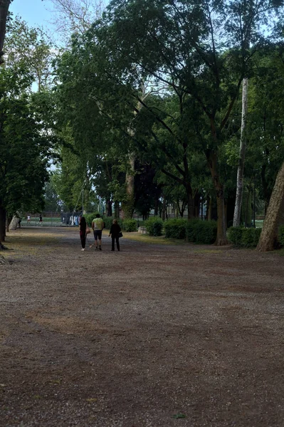 Emberek Egy Kutya Pórázon Sétálnak Egy Ösvényen Parkban Naplementekor — Stock Fotó