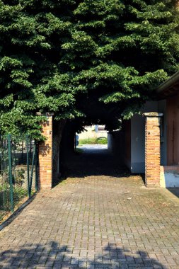 Güneşli bir günde, bir köyün parkında, ağaçların altında kısmen uzanan patika.