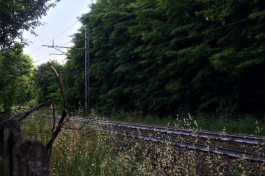 Gün batımında bir kasabanın parkından geçen tren yolu. Ağaçlarla çevrili.