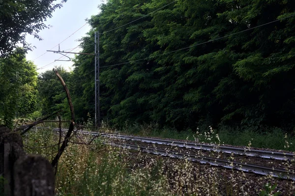 Spoorweg Passeren Een Park Van Een Stad Bij Zonsondergang Omlijst — Stockfoto