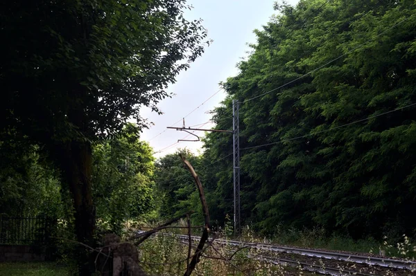 Gün Batımında Bir Kasabanın Parkından Geçen Tren Yolu Ağaçlarla Çevrili — Stok fotoğraf