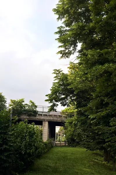 Eisenbahnstrecke Einem Park Der Bei Sonnenuntergang Unter Einer Betonbrücke Einer — Stockfoto