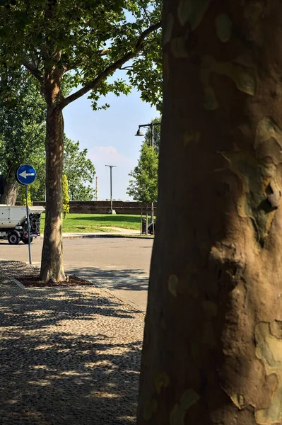 Estacionamiento Junto Parque Día Soleado Enmarcado Por Árboles —  Fotos de Stock