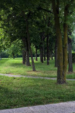 Gün batımında ağaçlarla ve çitlerle çevrili.