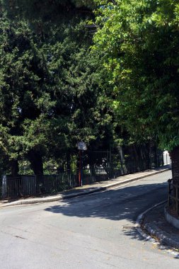 İtalya 'da güneşli bir günde ağaçlarla ve deniz çam ağaçlarıyla çevrili yamaçlı bir sokak.