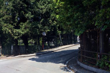 İtalya 'da güneşli bir günde ağaçlarla ve deniz çam ağaçlarıyla çevrili yamaçlı bir sokak.