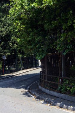 İtalya 'da güneşli bir günde ağaçlarla ve deniz çam ağaçlarıyla çevrili yamaçlı bir sokak.