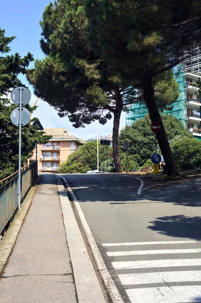 Sluttande Gata Kantad Träd Och Tallar Solig Dag Italiensk Stad — Stockfoto