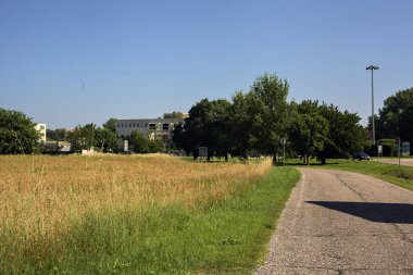 Yazın İtalya kırsalında küçük bir köy yolunun kenarındaki buğday tarlasında bir koru bulunur.