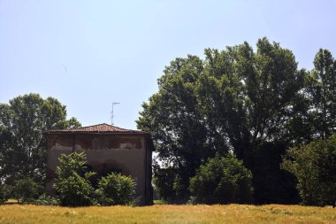 Terk edilmiş bir ev, buğday tarlasında ağaçlarla kaplı güneşli bir günde İtalya 'nın kırsalında.