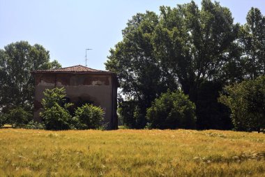 Terk edilmiş bir ev, buğday tarlasında ağaçlarla kaplı güneşli bir günde İtalya 'nın kırsalında.