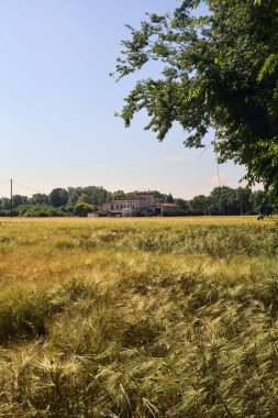 İtalya kırsalında bir yaz gününde buğday tarlasında kır evi