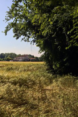 İtalya kırsalında bir yaz gününde buğday tarlasında kır evi