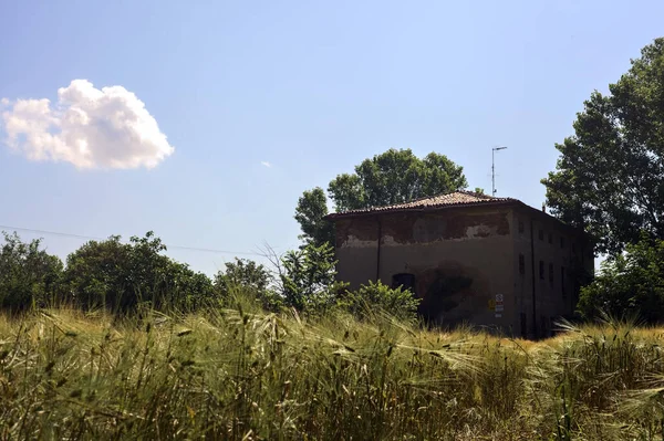 stock image Abandoned house with trees in a wheat field on a sunny day in the italian countryside