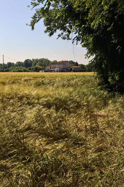 Landhaus Einem Weizenfeld Einem Sommertag Der Italienischen Landschaft — Stockfoto