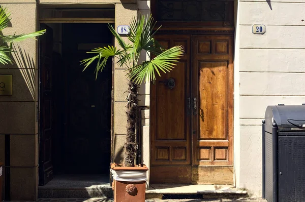 Türen Und Eine Kleine Palme Dazwischen Einem Sonnigen Tag — Stockfoto