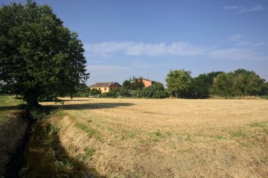 İtalya kırsalında güneşli bir yaz gününde bir tarlada ağaçlar ve kuru bir siper.