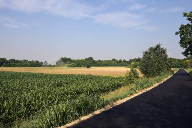 Yazın İtalya 'nın kırsal kesimindeki toprak toprak toprak toprak toprak setin tepesindeki ekili tarlaların yanında asfalt yol.