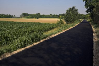 Yazın İtalya 'nın kırsal kesimindeki toprak toprak toprak toprak toprak setin tepesindeki ekili tarlaların yanında asfalt yol.