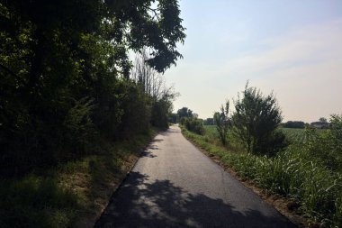 Yazın İtalya 'nın kırsal kesimindeki toprak toprak toprak toprak toprak setin tepesindeki ekili tarlaların yanında asfalt yol.