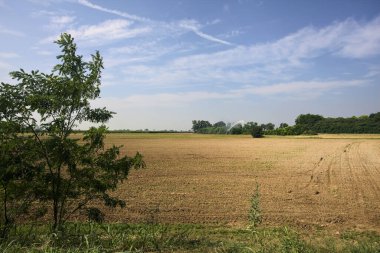 İtalya 'nın kırsal kesimlerinde bir yaz günü ekili tarlalar ağaçlarla sulanır.