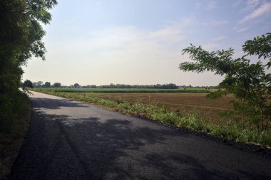 Yazın İtalya 'nın kırsal kesimindeki toprak toprak toprak toprak toprak setin tepesindeki ekili tarlaların yanında asfalt yol.