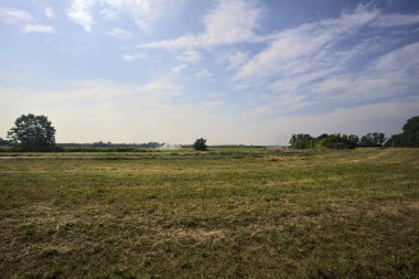 İtalya 'nın kırsal kesimlerinde güneşli bir günde tarlaların ortasında bir korunun yanında uzanan patika.