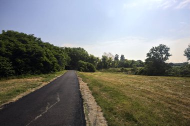 İtalya 'nın kırsal kesimlerinde güneşli bir günde tarlaların ortasında bir korunun yanında uzanan patika.