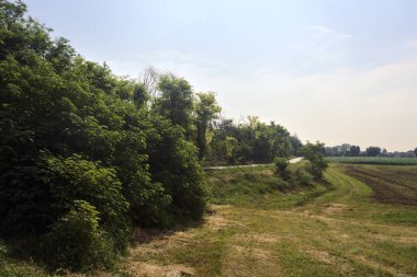 Yazın İtalya 'nın kırsal kesimindeki toprak toprak toprak toprak toprak setin tepesindeki ekili tarlaların yanında asfalt yol.