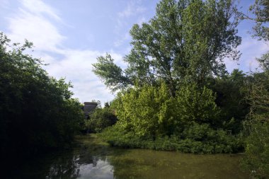 Ağaçlı bir gölet ve karşı kıyısında eski bir baraj. İtalya 'nın kırsal kesiminde bir yaz günü.