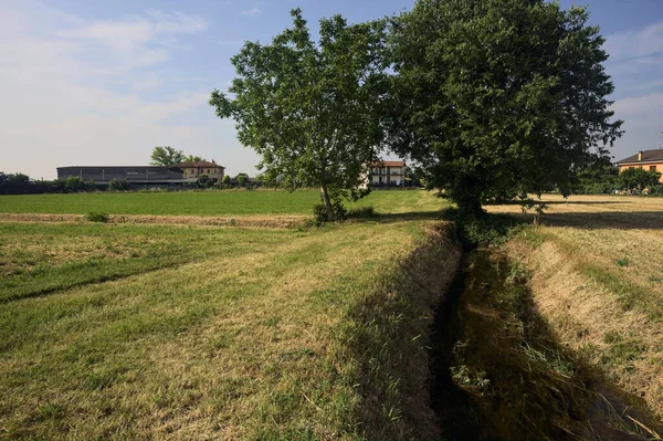 stock image Trees and a dry trench in a field on a sunny summer day in the italian countryside