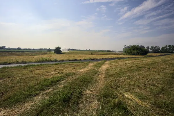 İtalya 'nın kırsal kesimlerinde güneşli bir günde tarlaların ortasında bir korunun yanında uzanan patika.