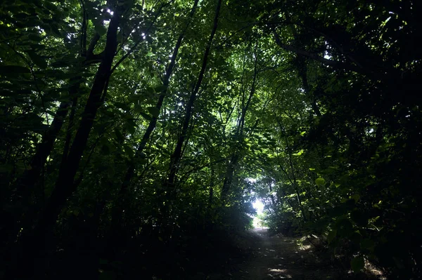 Talya Nın Kırsal Kesimlerinde Güneşli Bir Günde Bir Parkın Sonunda — Stok fotoğraf
