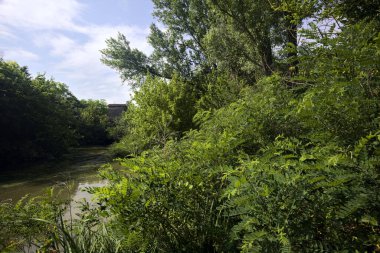 Ağaçlı bir gölet ve karşı kıyısında eski bir baraj. İtalya 'nın kırsal kesiminde bir yaz günü.