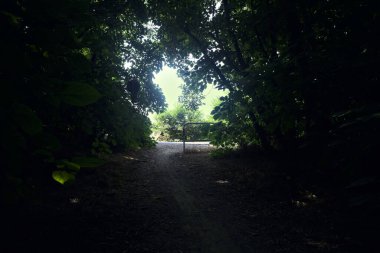 İtalya 'nın kırsal kesimlerinde güneşli bir günde bir parkın sonunda açılış.