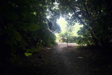 İtalya 'nın kırsal kesimlerinde güneşli bir günde bir parkın sonunda açılış.