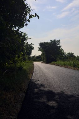 Bir yaz günü, İtalya 'nın kırsal kesimindeki setin tepesindeki ağaçlarla çevrili dar bir yol.