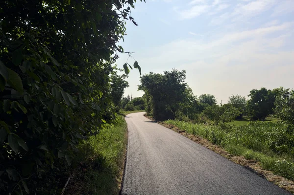 夏の日にイタリアの田舎の堤防の上の木に囲まれた狭い道を舗装 — ストック写真