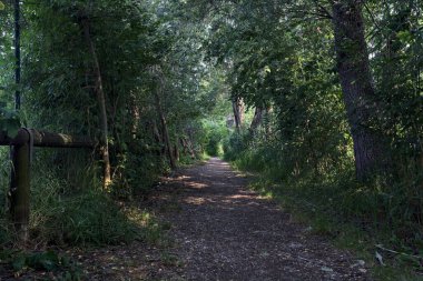İtalya 'nın kırsal kesimlerinde, bir yaz günü, üzerinde ağaçlar olan gölgede patika.