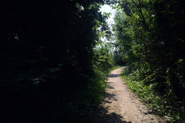 İtalya kırsalındaki bir nehrin kıyısındaki parktaki çalıların arasındaki patika.