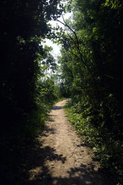 İtalya kırsalındaki bir nehrin kıyısındaki parktaki çalıların arasındaki patika.