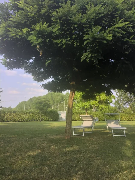 잔디밭에 의자를 놓는다 — 스톡 사진