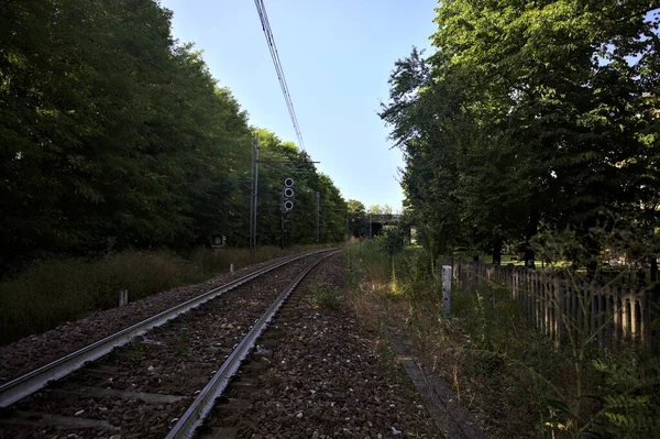Železnice Nadhlavními Kabely Ohraničenými Stromy Italském Městě Při Západu Slunce — Stock fotografie