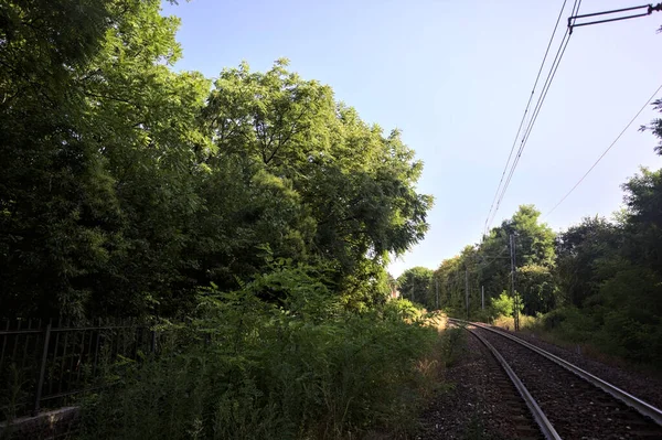 Gün Batımında Talya Ağaçlarla Çevrili Başlıklı Demiryolu — Stok fotoğraf